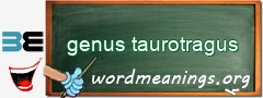 WordMeaning blackboard for genus taurotragus